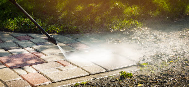 Best Dumpster Area Cleaning  in Dania Beach, FL