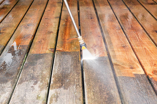 Professional Pressure Washing in Dania Beach, FL