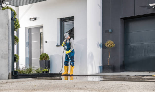 Best Gutter Cleaning  in Dania Beach, FL
